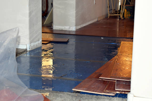 Professional Basement Flooding technician working in Van Meter, IA